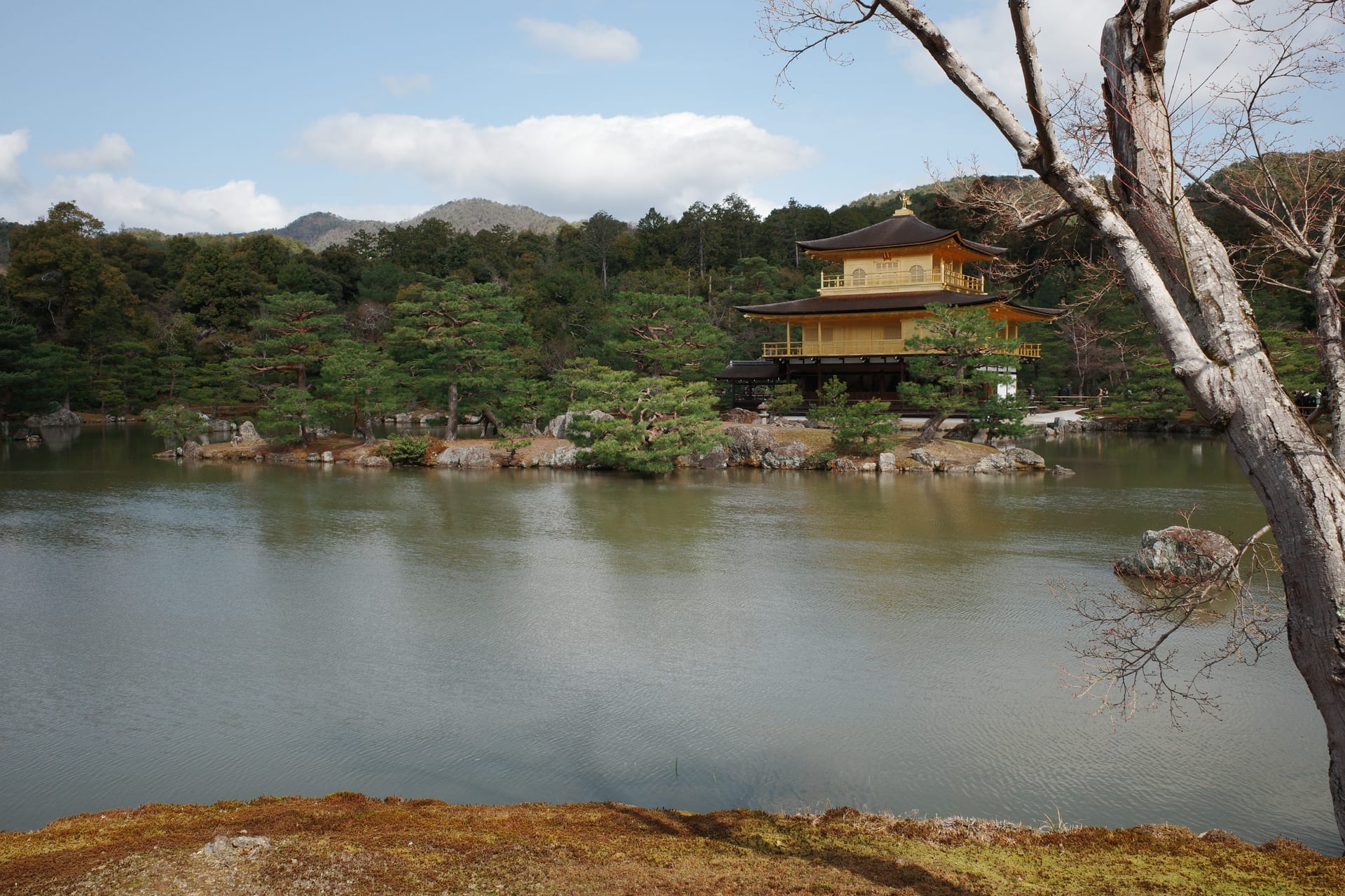 Ricoh GRIII in Japan